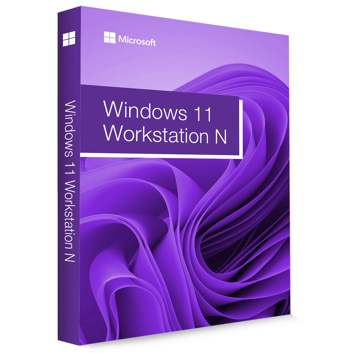 Microsoft Windows 11 Workstation N